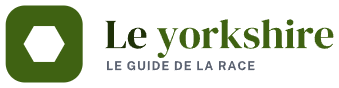 Le yorkshire